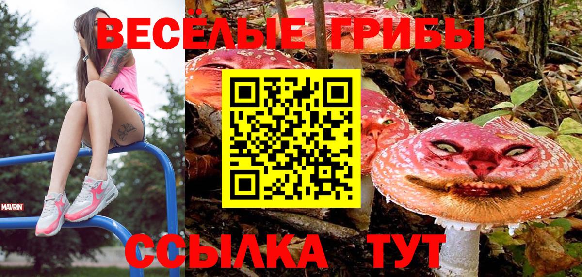 Псилоцибиновые грибы мицелий Губкинский